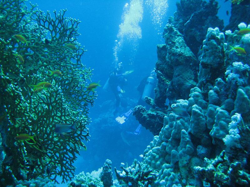 Shagra096.JPG
