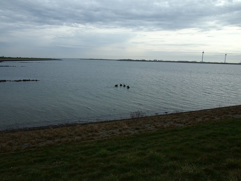 P4140193.JPG