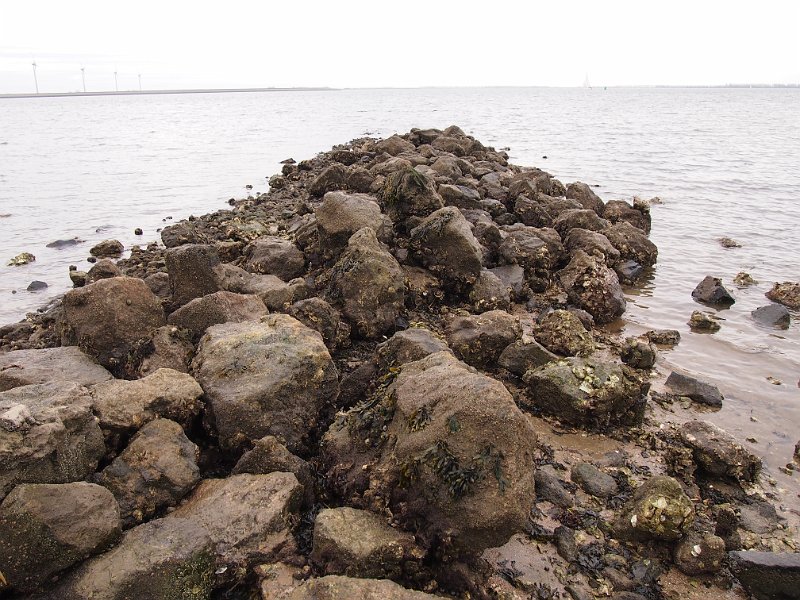 P4140194.JPG